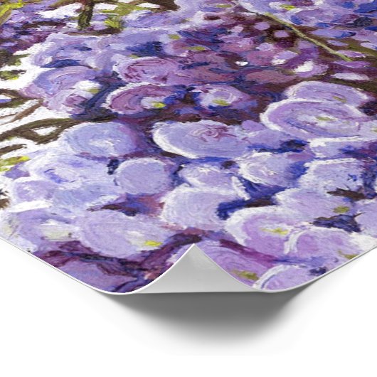 Poster glycine bleue 2011 (Coin)