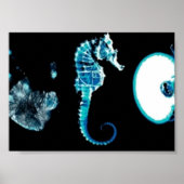 Poster Glyphes franges (Devant)