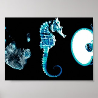 Poster Glyphes franges