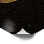 Poster Glyptoperichthys gibbiceps (Coin)