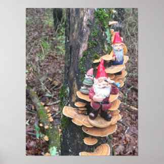 Poster Gnomes et champignons de la queue de dinde