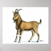 Poster Goat:  Brown (Devant)