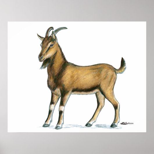Poster Goat:  Brown (Devant)