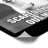 Poster Goat I Almost Gave A For Funny Farm Animal Meme  (Coin)