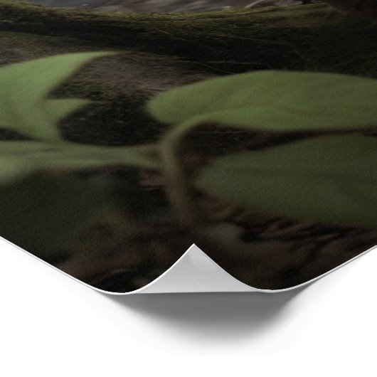 Poster Gobelin espiègle dans une forêt hantée (Coin)