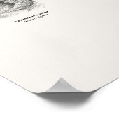 Poster Gobemouches - Bibliothèque du Naturaliste (Coin)