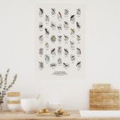Poster Gobemouches - Bibliothèque du Naturaliste (Cuisine)