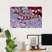 Poster Goby (Bureau à domicile)