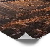 Poster Goddess of Shadows (Coin)