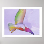 Poster goéland (Devant)