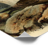 Poster Goéland à tête blanche (Coin)