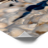 Poster Goéland argenté criant son cri (Coin)