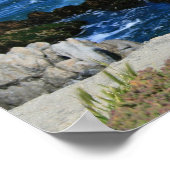 Poster Goéland de mer devant Pacific Coastline, photo (Coin)