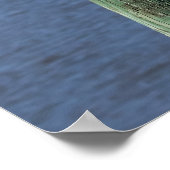 Poster Goéland sur pilotis (Coin)