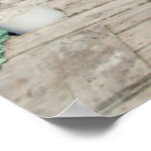 Poster Goff Caye (Coin)