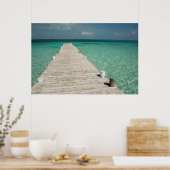 Poster Goff Caye (Cuisine)