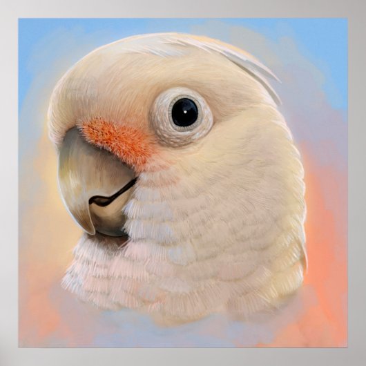 Poster Goffin Tanimbar Corella Cockatoo (Devant)