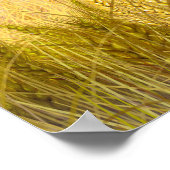 Poster Gold Blé Champ Sunset ciel Paintes à l'huile été (Coin)