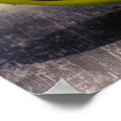 Poster Gold Finch / Imprimer (Coin)