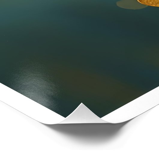 Poster gold flounders (Coin)