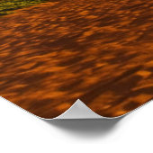 Poster Golden beach sunset (Coin)