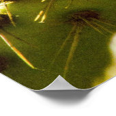 Poster Golden Bloom (Coin)