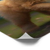 Poster Golden Doodle Chiot Joue Ball (Coin)