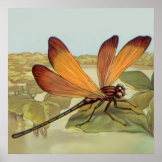 Poster Golden Dragonfly