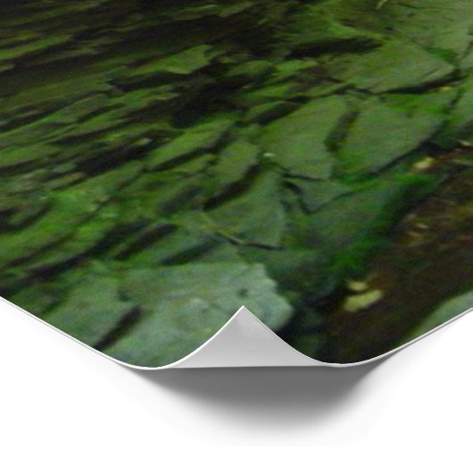 Poster Golden Eagle Trail (Coin)