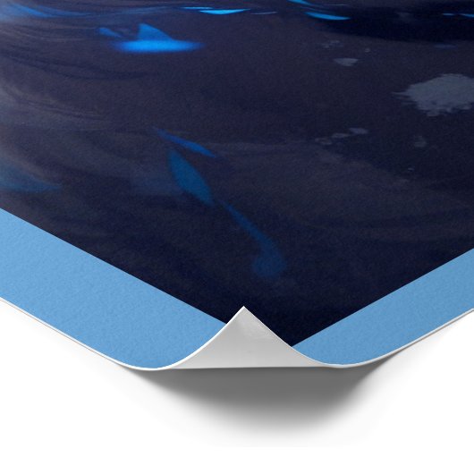 Poster Golden-eyed Leopard (Coin)