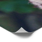 Poster Golden Eyes Imprimer (Coin)