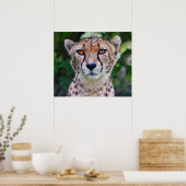 Poster Golden Eyes Imprimer (Cuisine)