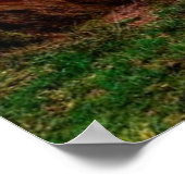 Poster Golden Gate Bridge avec le soleil brillant à trave (Coin)