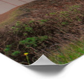 Poster Golden Gate Bridge Erie Sunrise (Coin)