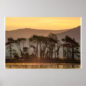 Poster Golden Hour Reflections with Silhouetted Trees (Devant)