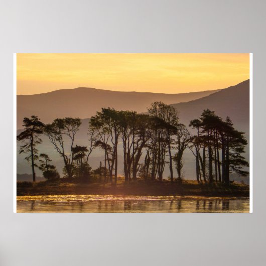 Poster Golden Hour Reflections with Silhouetted Trees (Devant)