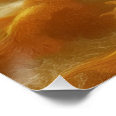 Poster Golden Koi (Coin)