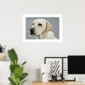 Poster Golden Labrador (Bureau à domicile)