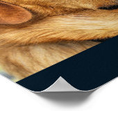 Poster Golden Labrador Retriever (Coin)