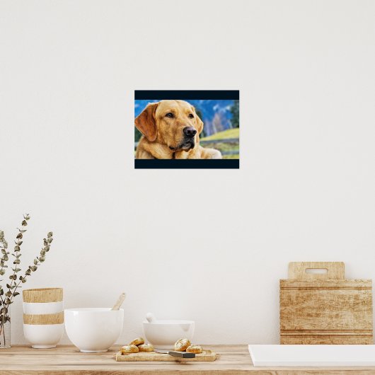 Poster Golden Labrador Retriever (Cuisine)