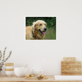 Poster Golden Retriever (Cuisine)