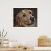 Poster Golden Retriever (Cuisine)