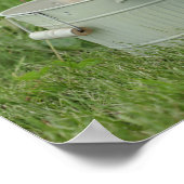 Poster Golden Retriever (Coin)