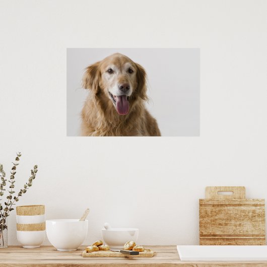 Poster Golden Retriever (Cuisine)