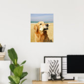 Poster Golden Retriever (Bureau à domicile)