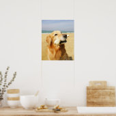 Poster Golden Retriever (Cuisine)