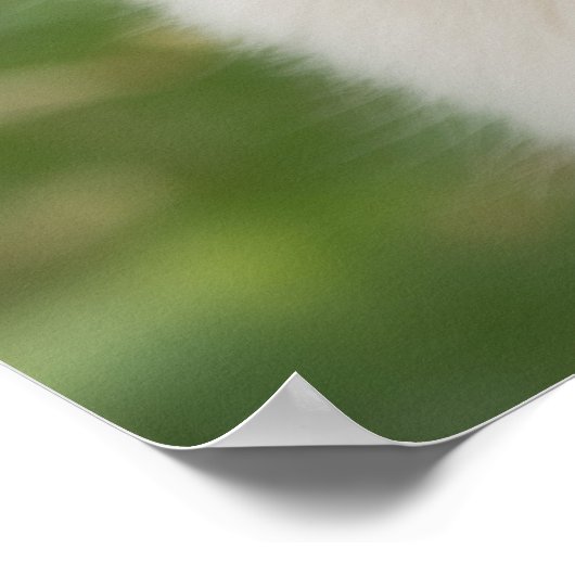 Poster Golden retriever (Coin)