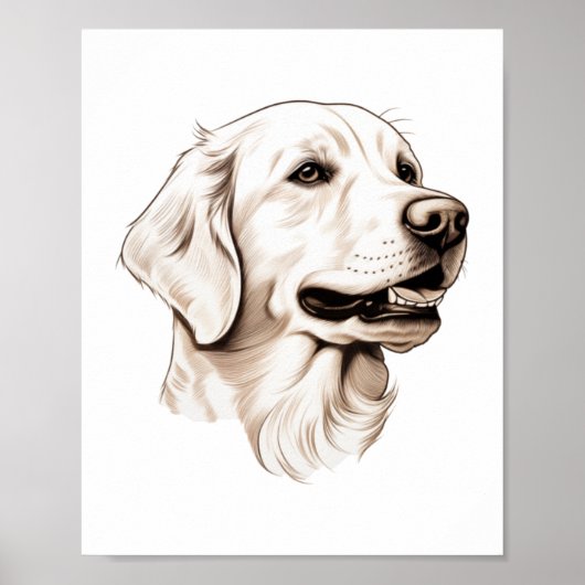 Poster Golden Retriever 2 (Devant)