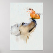 Poster Golden Retriever avec un papillon sur son nez (Devant)