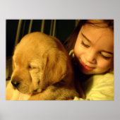 Poster Golden Retriever Chien Chien Chien Chien (Devant)